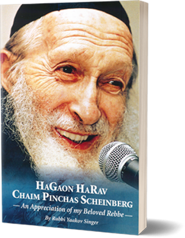 An Appreciation of <br>My Beloved Rebbe