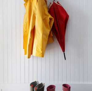 The Forgotten Raincoat