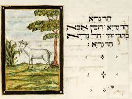 חד גדיה