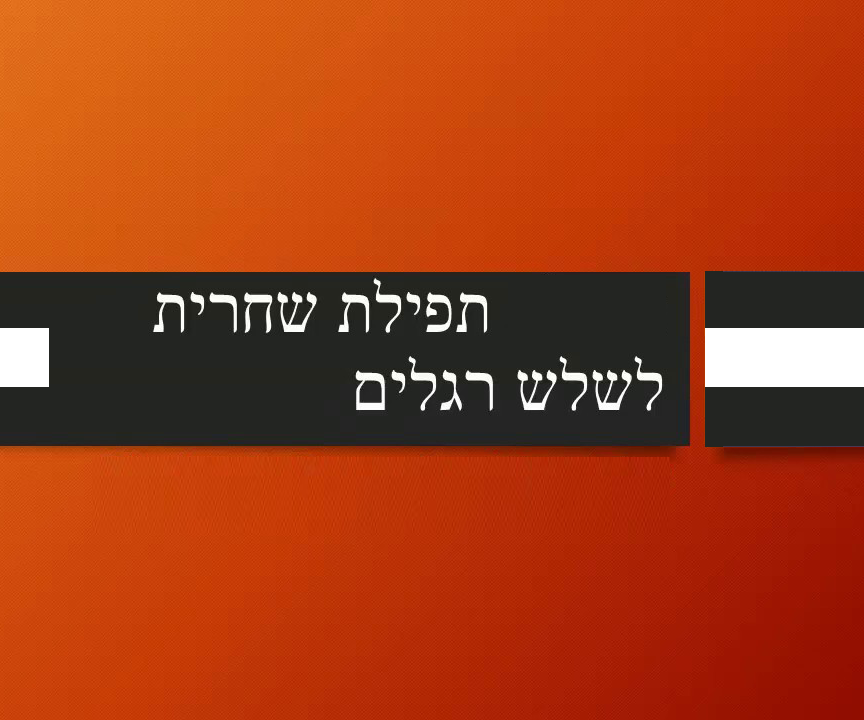 שחרית לשלש רגלים