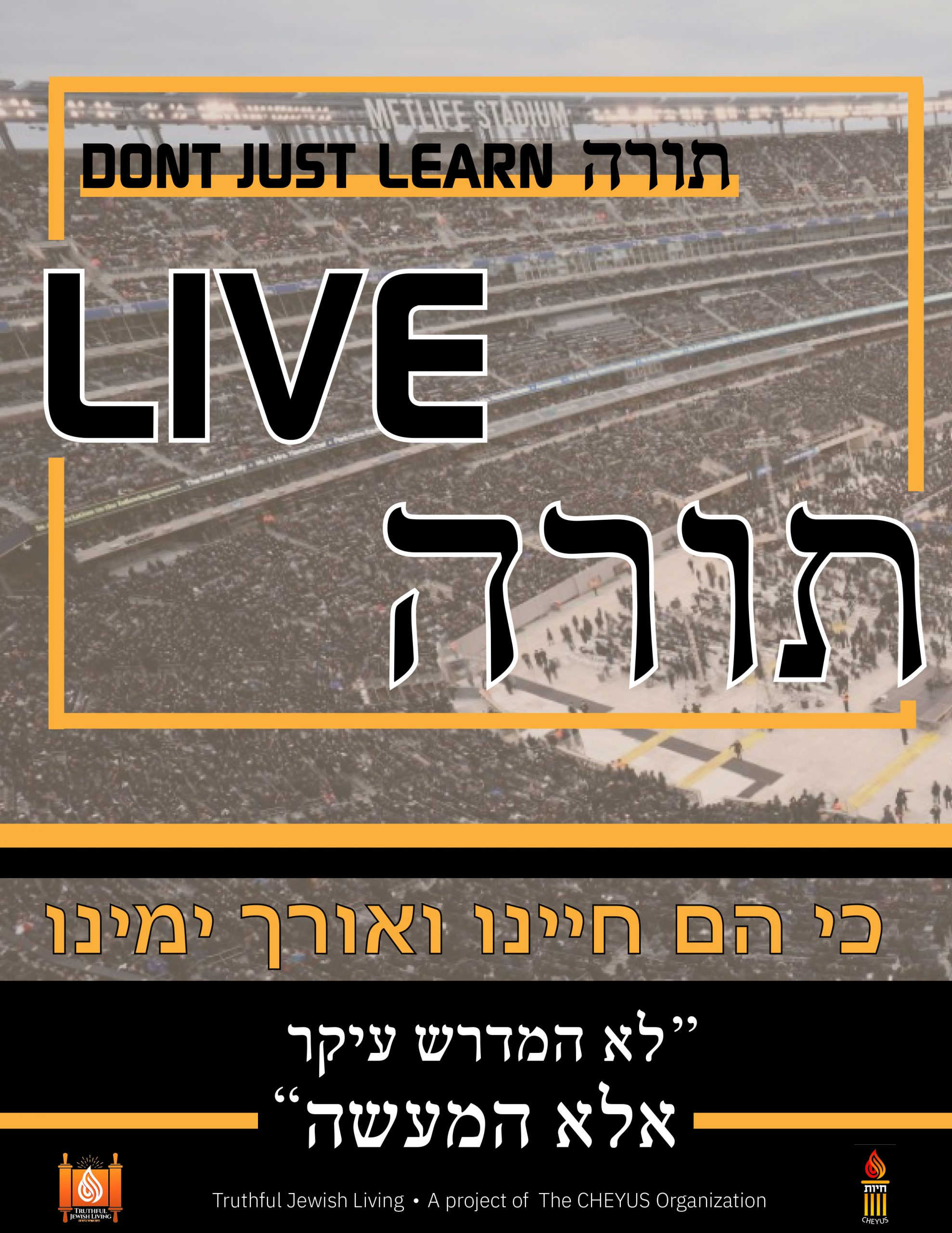 Don’t Just Learn Torah, LIVE Torah