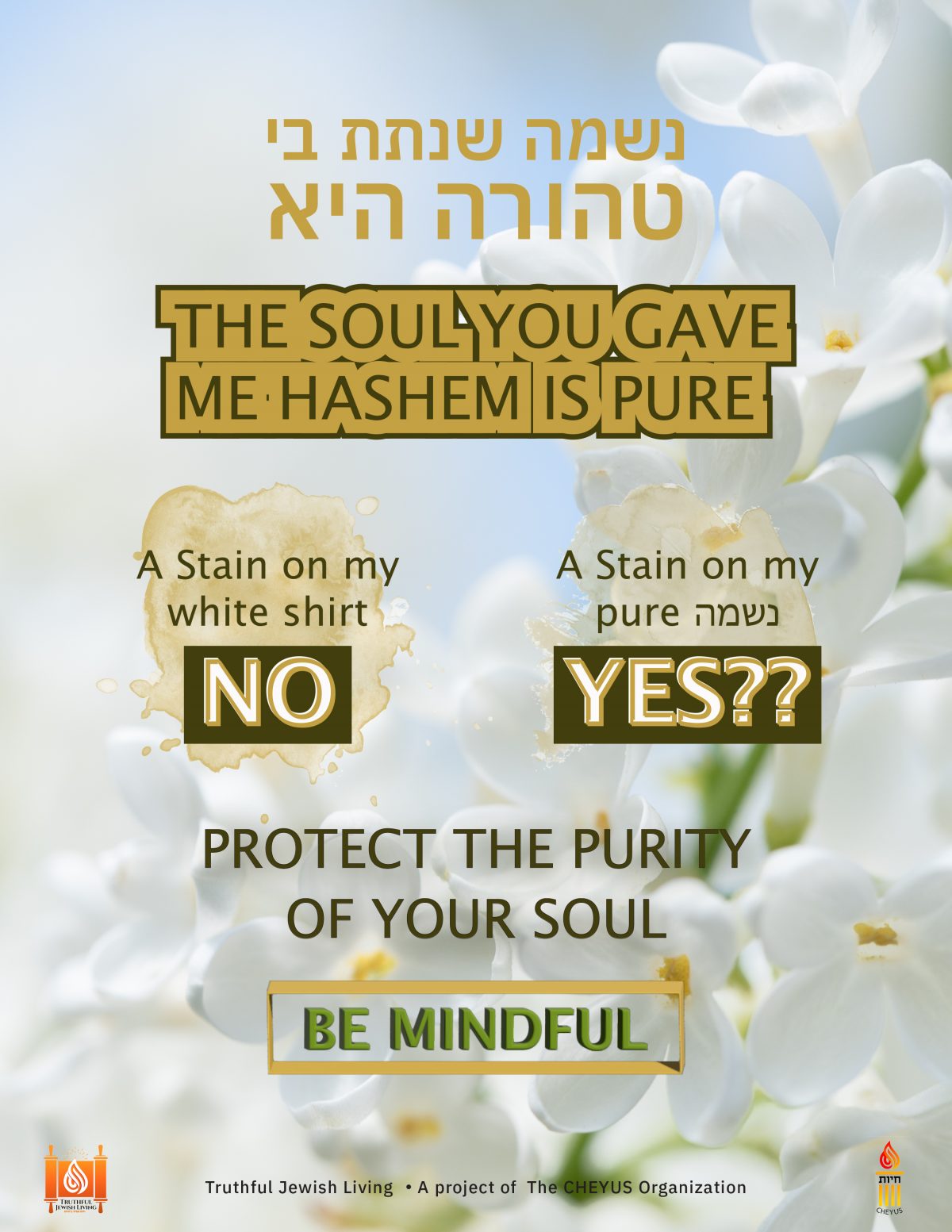 The Soul You Gave Me Hashem Is Pure – Protect The Purity Of Your Soul