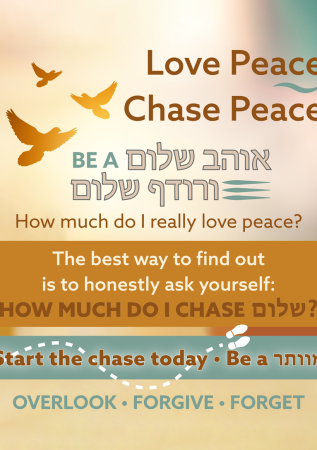 Love Peace Chase Peace