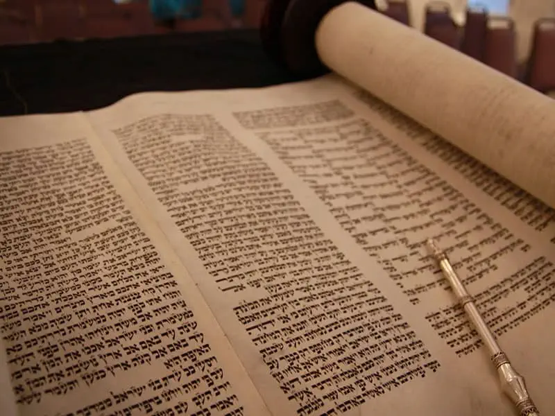 הפך בה והפך בה, דכלא בה
