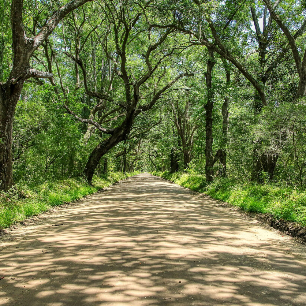 THE PROVEN<br> BEATEN PATH <br><center style=