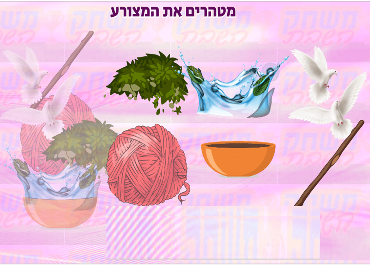 PURIFYING CONTAMINATION  מצורע