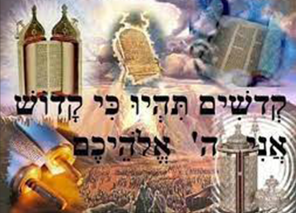 BE HOLY. HOW?  <br> <br> <center style=